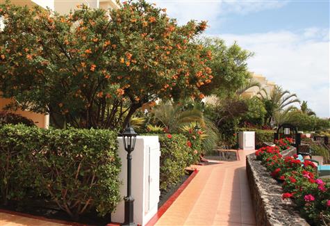 Discover the vibrant beauty of Santa Rosa’s gardens